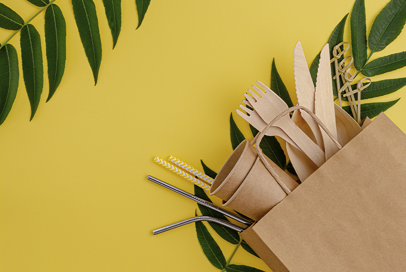 일회용 식기가 환경을 오염시키나요?