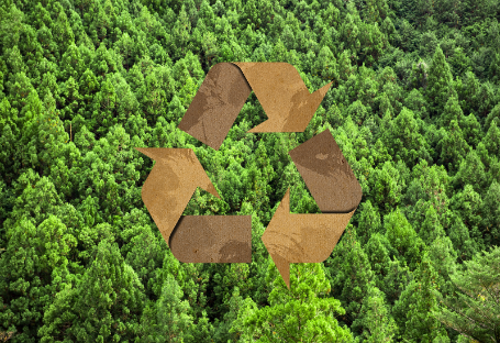 일회용 케이터링 용품 조달을 위한 FSC & EUDR & PEFC 가이드